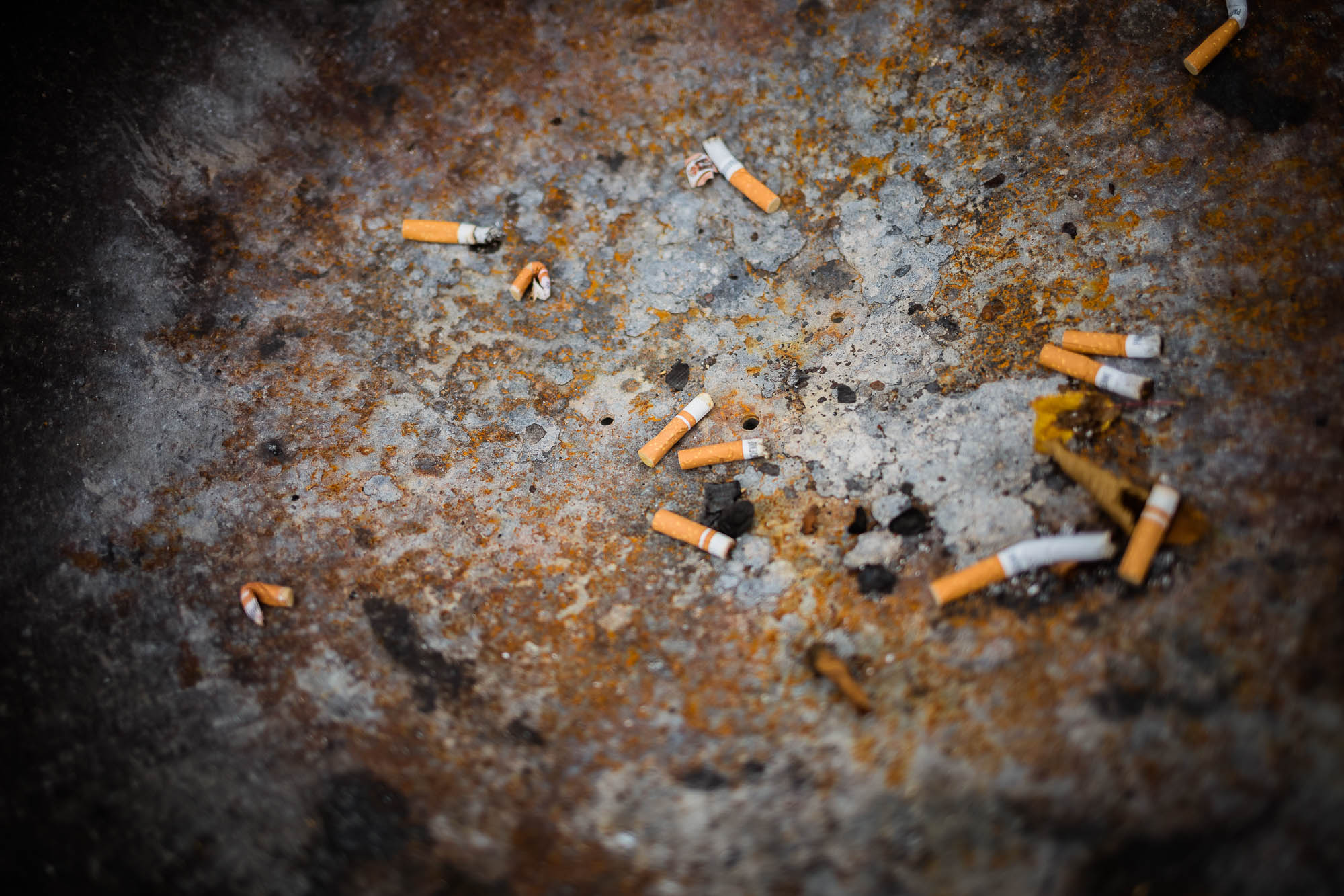 Export x3 5D4 9302 Hochzeit 2020 Nicole & Daniel